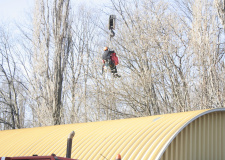 Photo of a working arborist