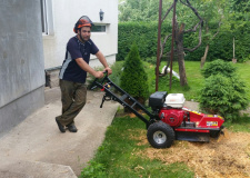 Photo of a working arborist