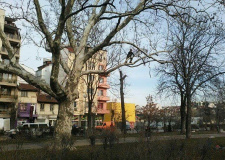 Photo of a working arborist