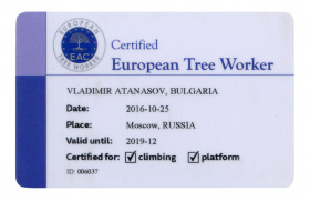 Сертификат за извършване на арбористки услуги (изображение).